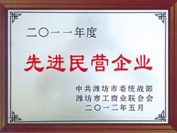 先进民营企业